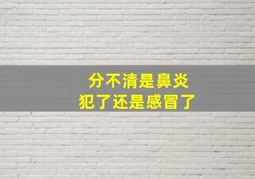 分不清是鼻炎犯了还是感冒了