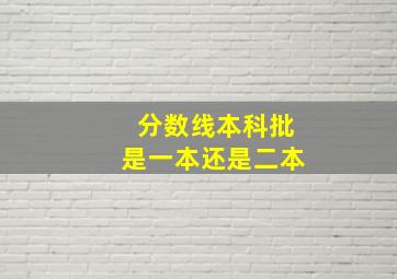 分数线本科批是一本还是二本