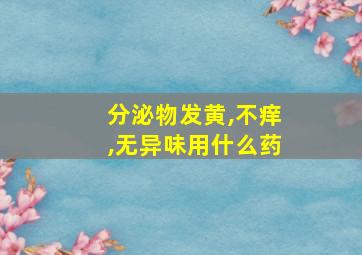 分泌物发黄,不痒,无异味用什么药