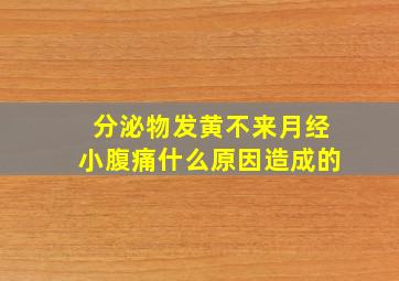 分泌物发黄不来月经小腹痛什么原因造成的