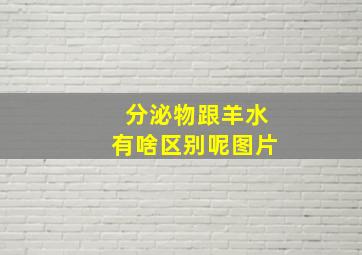 分泌物跟羊水有啥区别呢图片