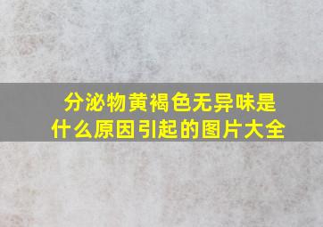 分泌物黄褐色无异味是什么原因引起的图片大全