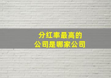 分红率最高的公司是哪家公司