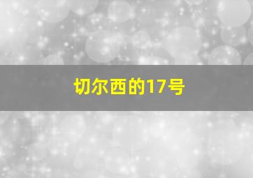 切尔西的17号