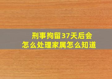 刑事拘留37天后会怎么处理家属怎么知道