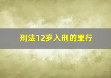 刑法12岁入刑的罪行