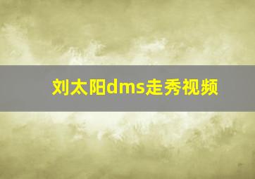 刘太阳dms走秀视频