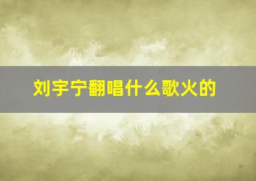 刘宇宁翻唱什么歌火的