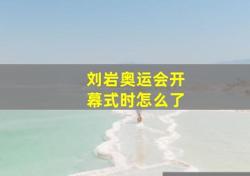 刘岩奥运会开幕式时怎么了