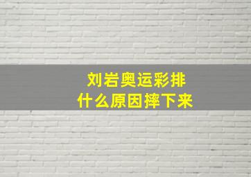 刘岩奥运彩排什么原因摔下来