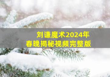 刘谦魔术2024年春晚揭秘视频完整版