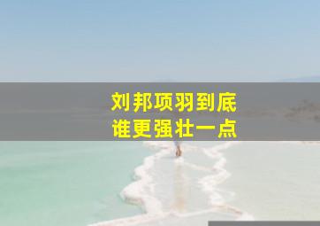 刘邦项羽到底谁更强壮一点