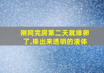 刚同完房第二天就排卵了,排出来透明的液体