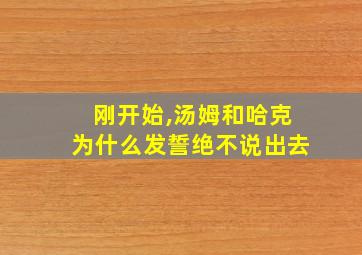 刚开始,汤姆和哈克为什么发誓绝不说出去