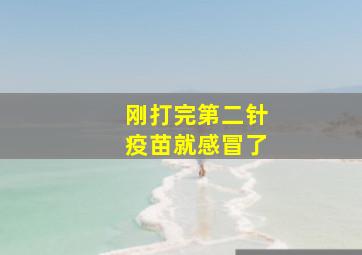 刚打完第二针疫苗就感冒了