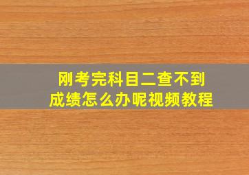 刚考完科目二查不到成绩怎么办呢视频教程