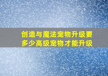 创造与魔法宠物升级要多少高级宠物才能升级