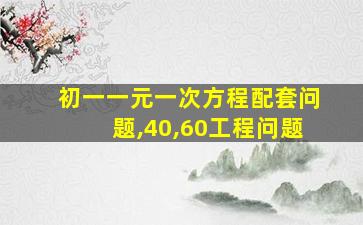 初一一元一次方程配套问题,40,60工程问题