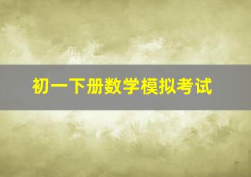 初一下册数学模拟考试