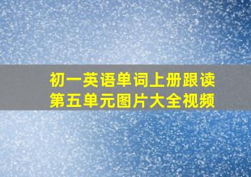 初一英语单词上册跟读第五单元图片大全视频