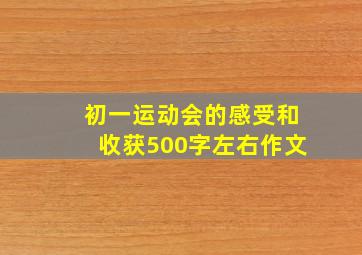 初一运动会的感受和收获500字左右作文