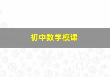 初中数学模课