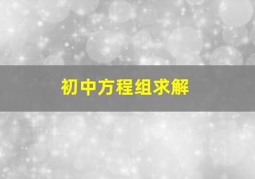 初中方程组求解