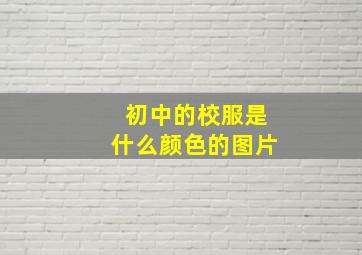 初中的校服是什么颜色的图片