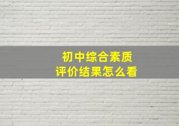 初中综合素质评价结果怎么看