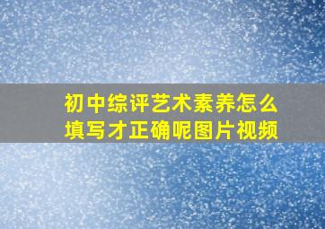 初中综评艺术素养怎么填写才正确呢图片视频