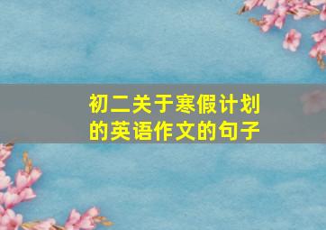 初二关于寒假计划的英语作文的句子