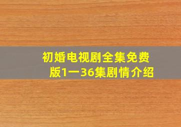 初婚电视剧全集免费版1一36集剧情介绍