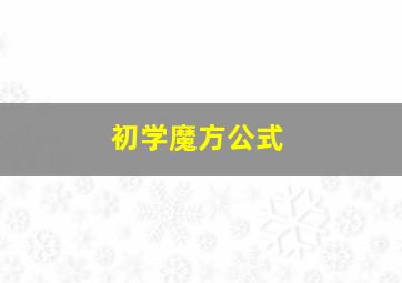 初学魔方公式