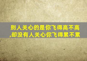 别人关心的是你飞得高不高,却没有人关心你飞得累不累