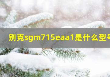 别克sgm715eaa1是什么型号车