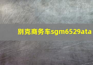 别克商务车sgm6529ata