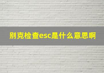 别克检查esc是什么意思啊