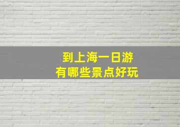 到上海一日游有哪些景点好玩