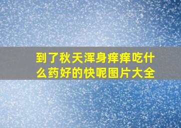 到了秋天浑身痒痒吃什么药好的快呢图片大全