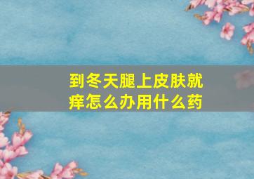 到冬天腿上皮肤就痒怎么办用什么药