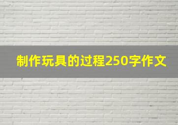 制作玩具的过程250字作文