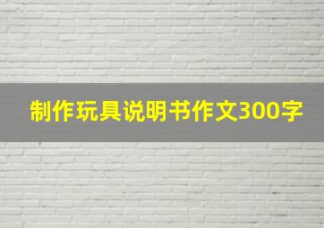 制作玩具说明书作文300字