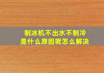 制冰机不出水不制冷是什么原因呢怎么解决