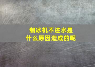 制冰机不进水是什么原因造成的呢