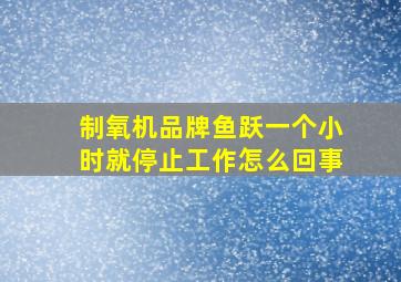 制氧机品牌鱼跃一个小时就停止工作怎么回事