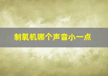 制氧机哪个声音小一点