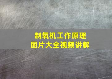 制氧机工作原理图片大全视频讲解