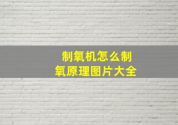 制氧机怎么制氧原理图片大全