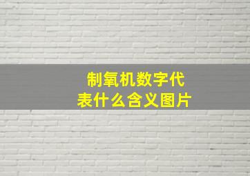 制氧机数字代表什么含义图片