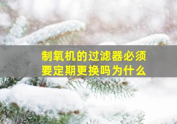 制氧机的过滤器必须要定期更换吗为什么